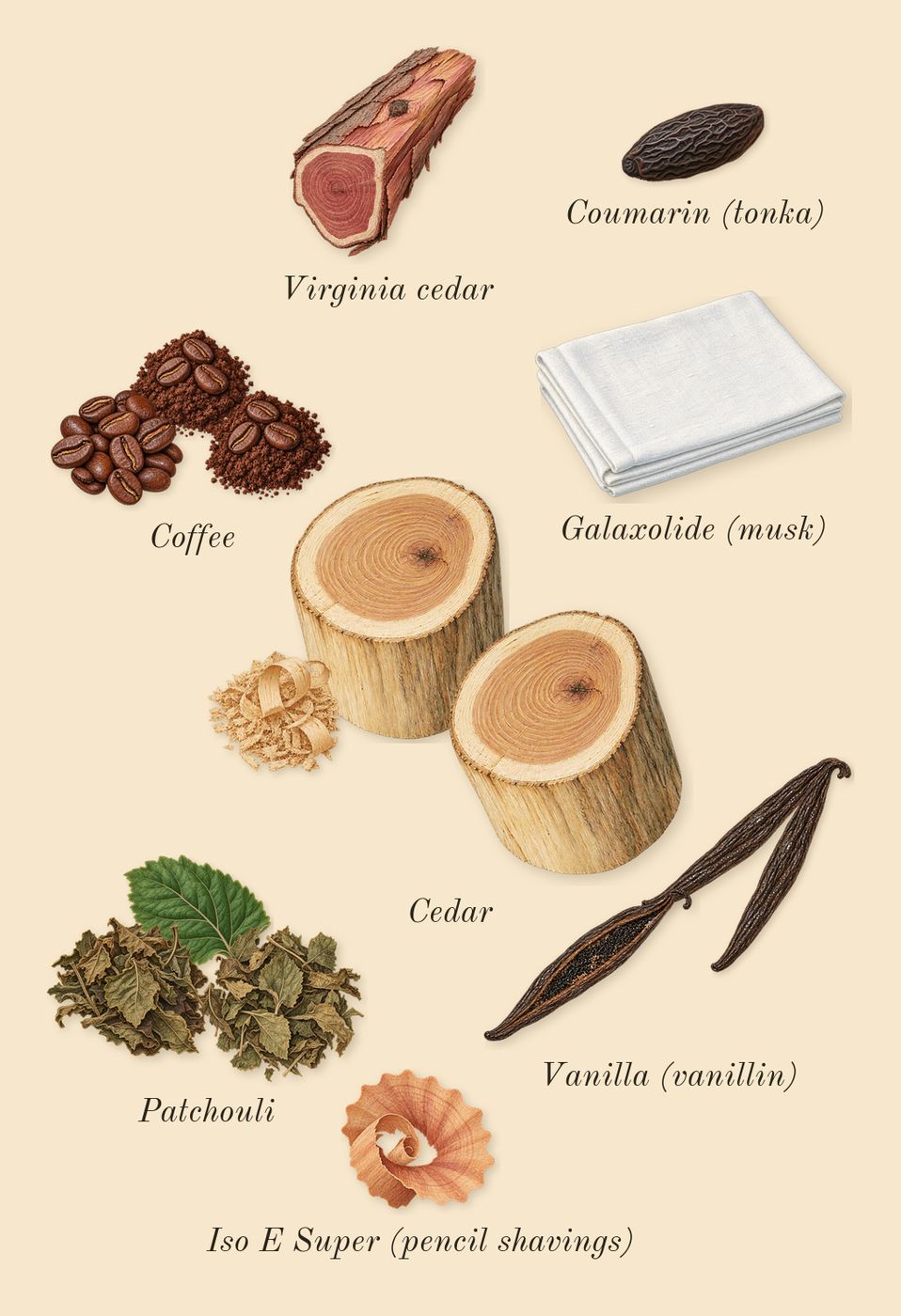 Ambery Vanilla, dry-down: Cedar, Patchouli, Vanilla (vanillin), Coffee, Virginia cedar, Iso E Super (pencil shavings), Galaxolide (musk), Coumarin (tonka)