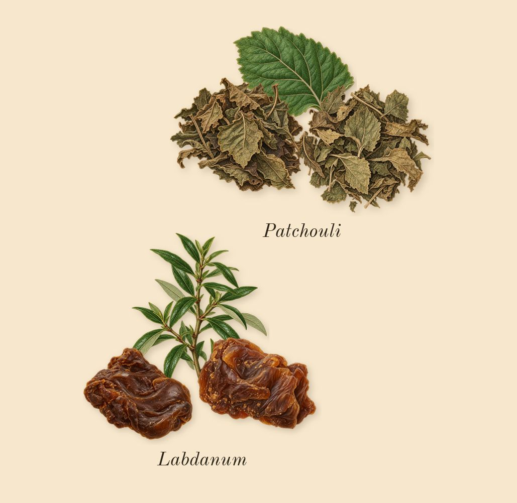 Rosa Carnivora, dry-down: Patchouli, Labdanum