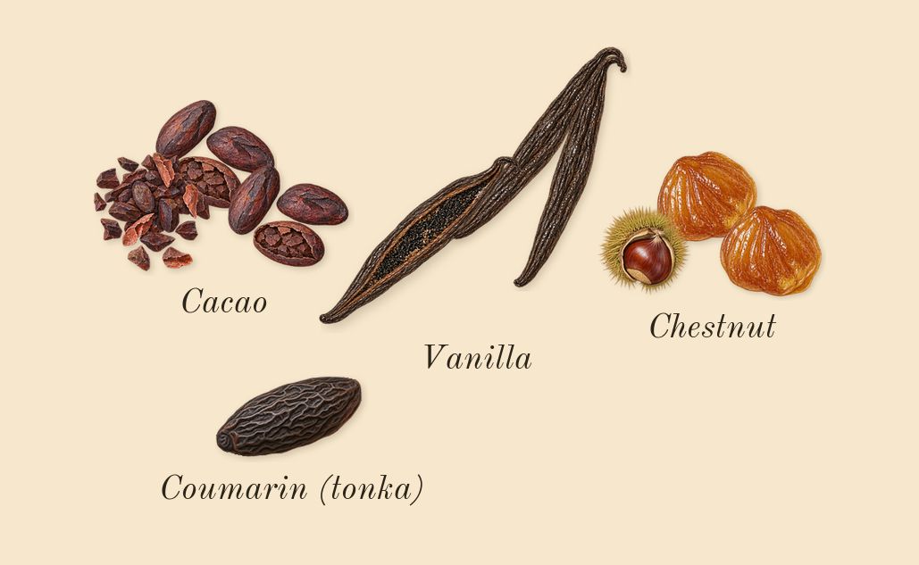 Soie Malaquais, dry-down: Chestnut, Cacao, Vanilla, Coumarin (tonka)
