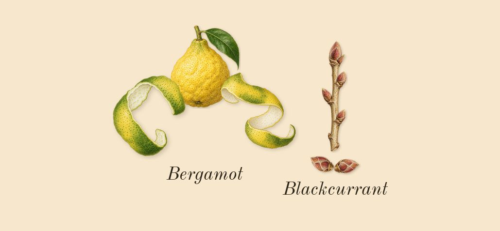 Soie Malaquais, top notes: Bergamot, Blackcurrant