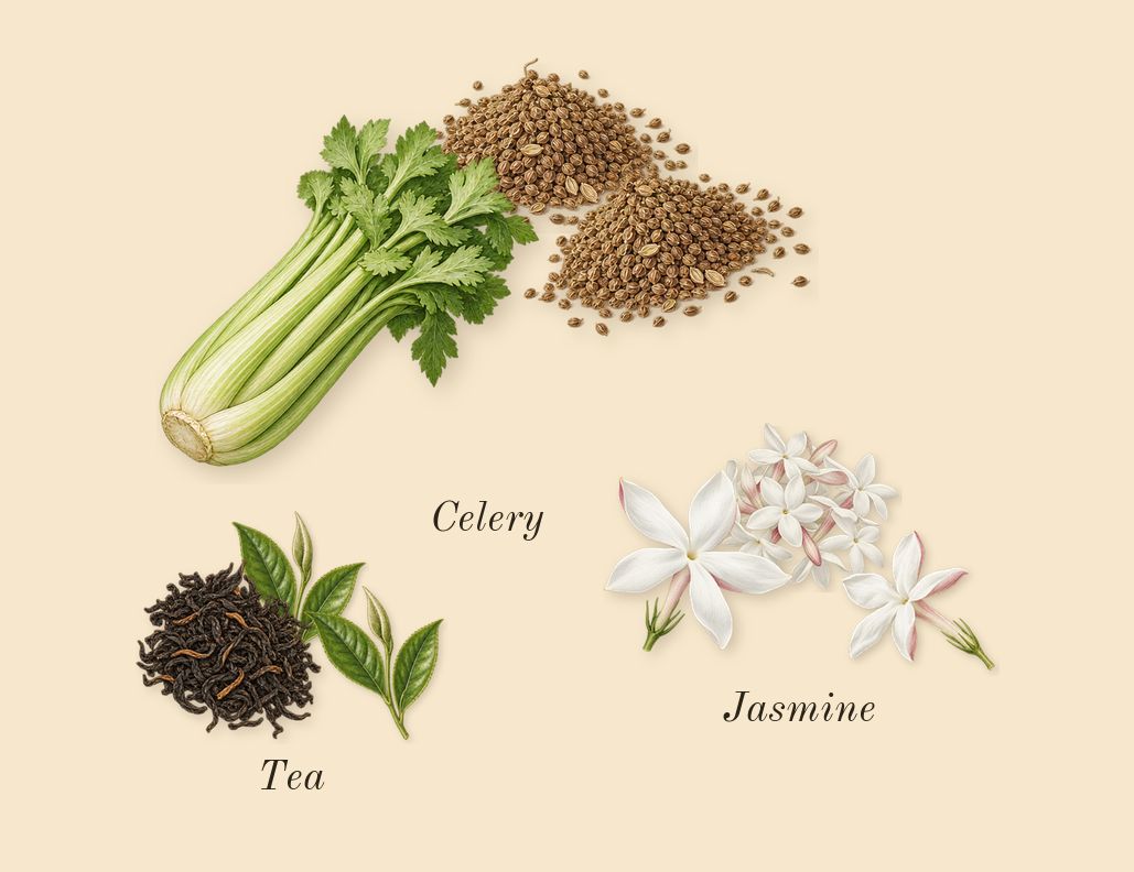 Green Tea, heart: Tea, Jasmine, Celery