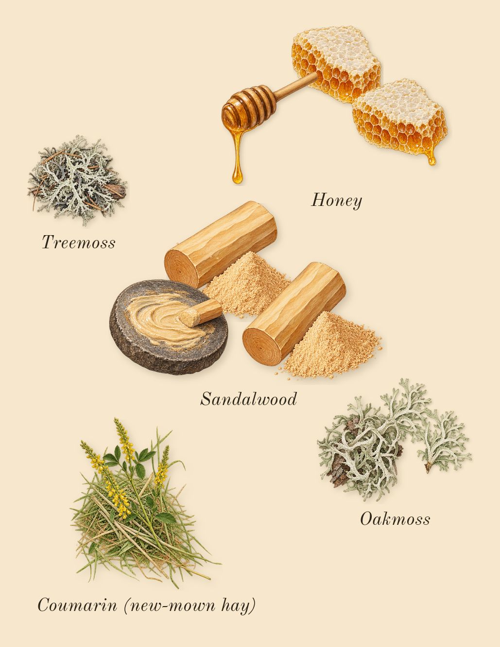 Red Door, dry-down: Honey, Oakmoss, Sandalwood, Treemoss, Coumarin (new-mown hay)