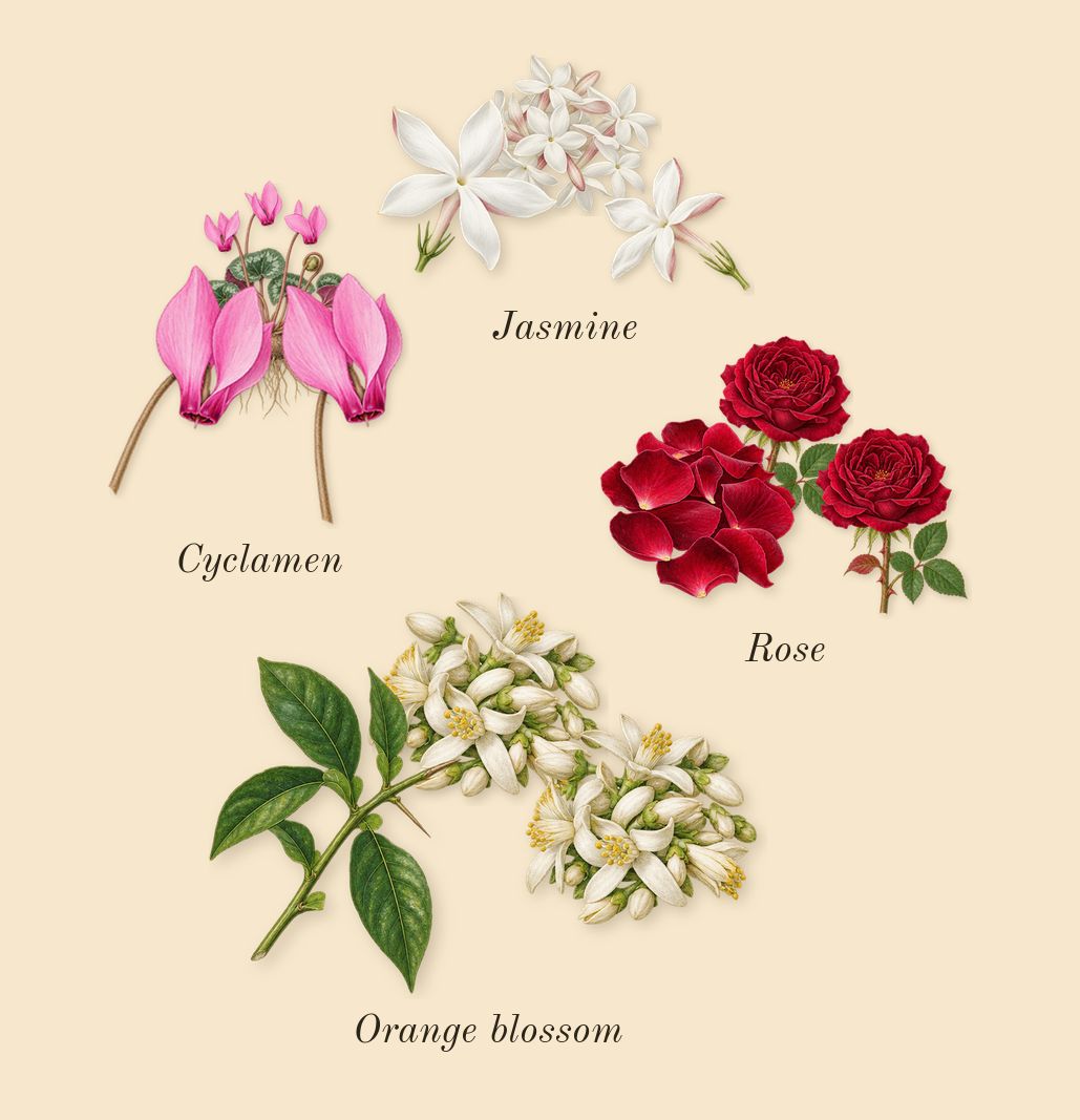 Sunflowers, heart: Jasmine, Cyclamen, Rose, Orange blossom