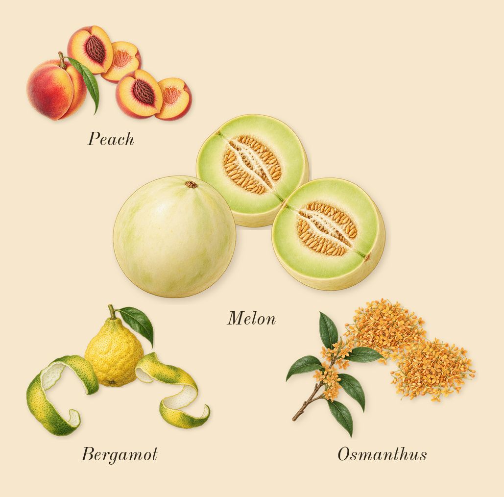 Sunflowers, top notes: Bergamot, Melon, Peach, Osmanthus