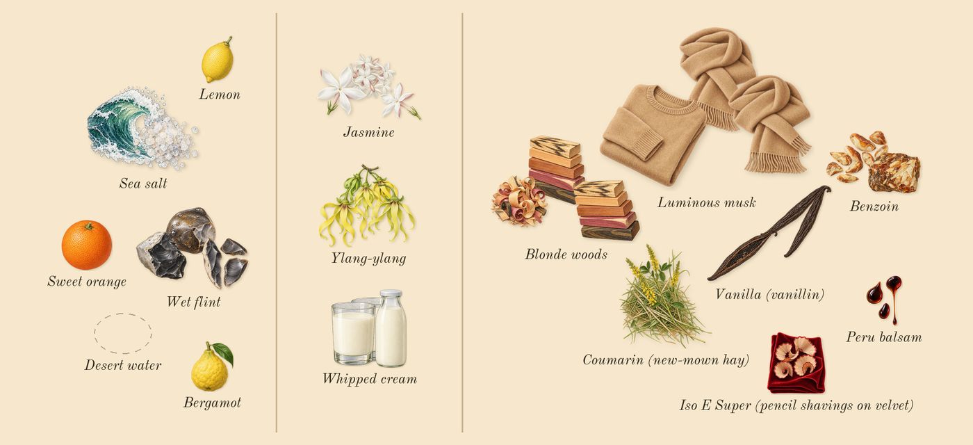 Vanilla Salt’s scent picture, a draft: wet flint, sea salt, jasmine, ylang-ylang, whipped cream, vanilla (vanillin) drawn so far; dashed outlines where nothing is drawn yet