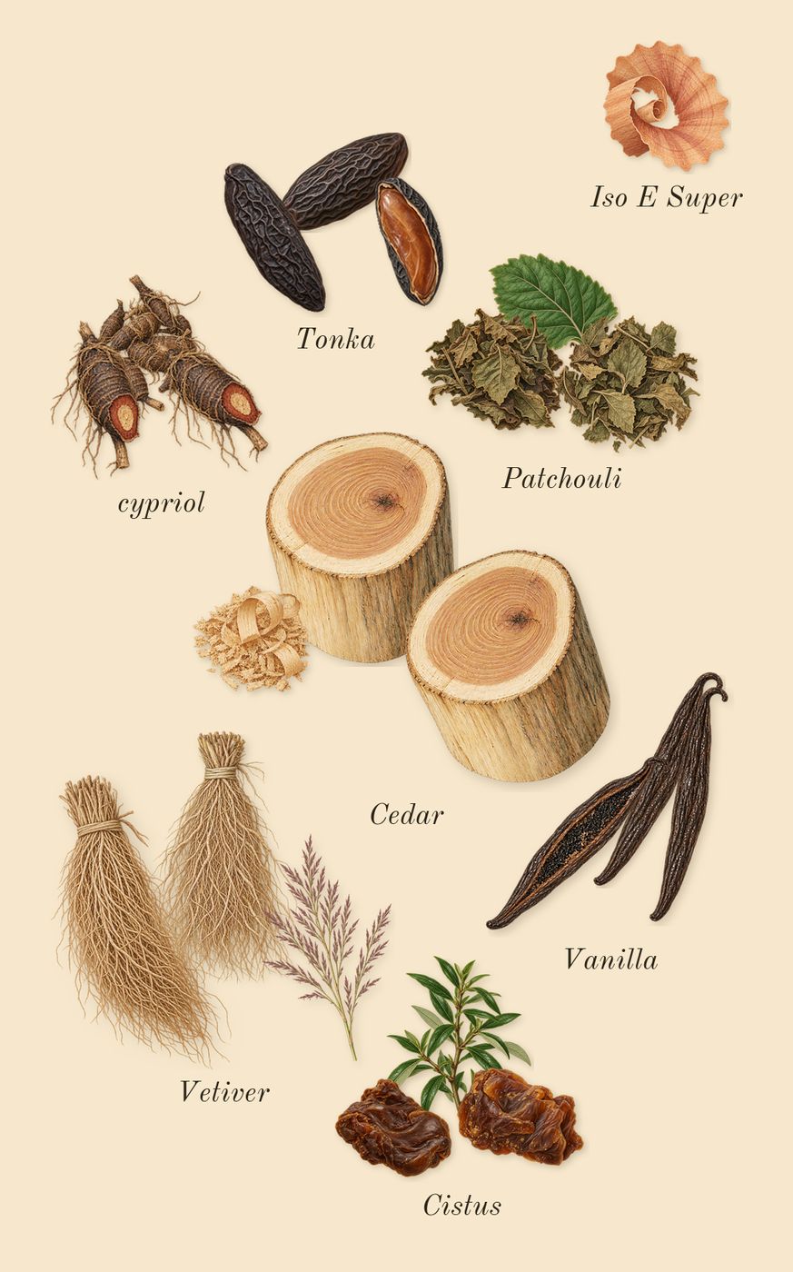 Elsewhere, dry-down: Tonka, Vanilla, Cedar, Cistus, cypriol, Vetiver, Patchouli, Iso E Super