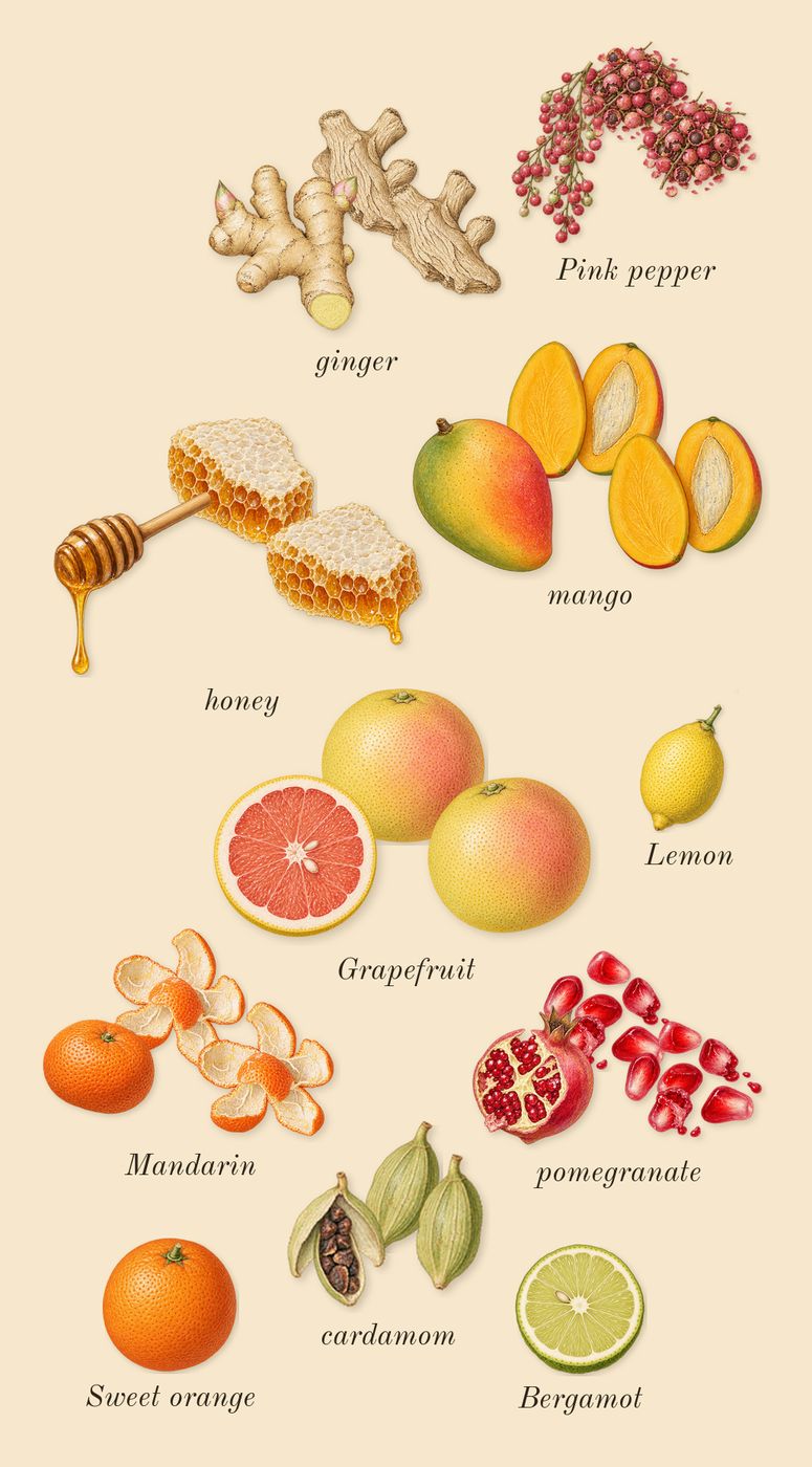 Elsewhere, top notes: honey, Mandarin, Grapefruit, mango, pomegranate, ginger, cardamom, Pink pepper, Bergamot, Lemon, Sweet orange