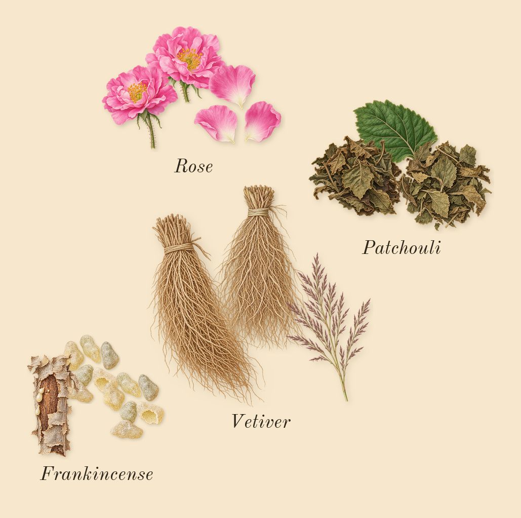 Enclave, heart: Rose, Patchouli, Frankincense, Vetiver