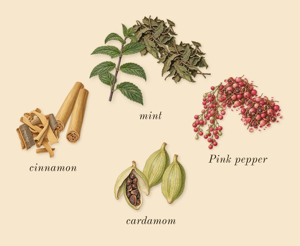 Enclave, top notes: cardamom, mint, Pink pepper, cinnamon
