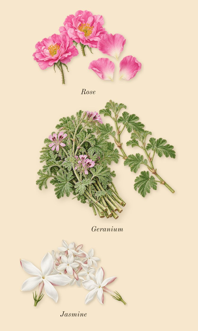 Epic 56 Woman, heart: Rose, Geranium, Jasmine