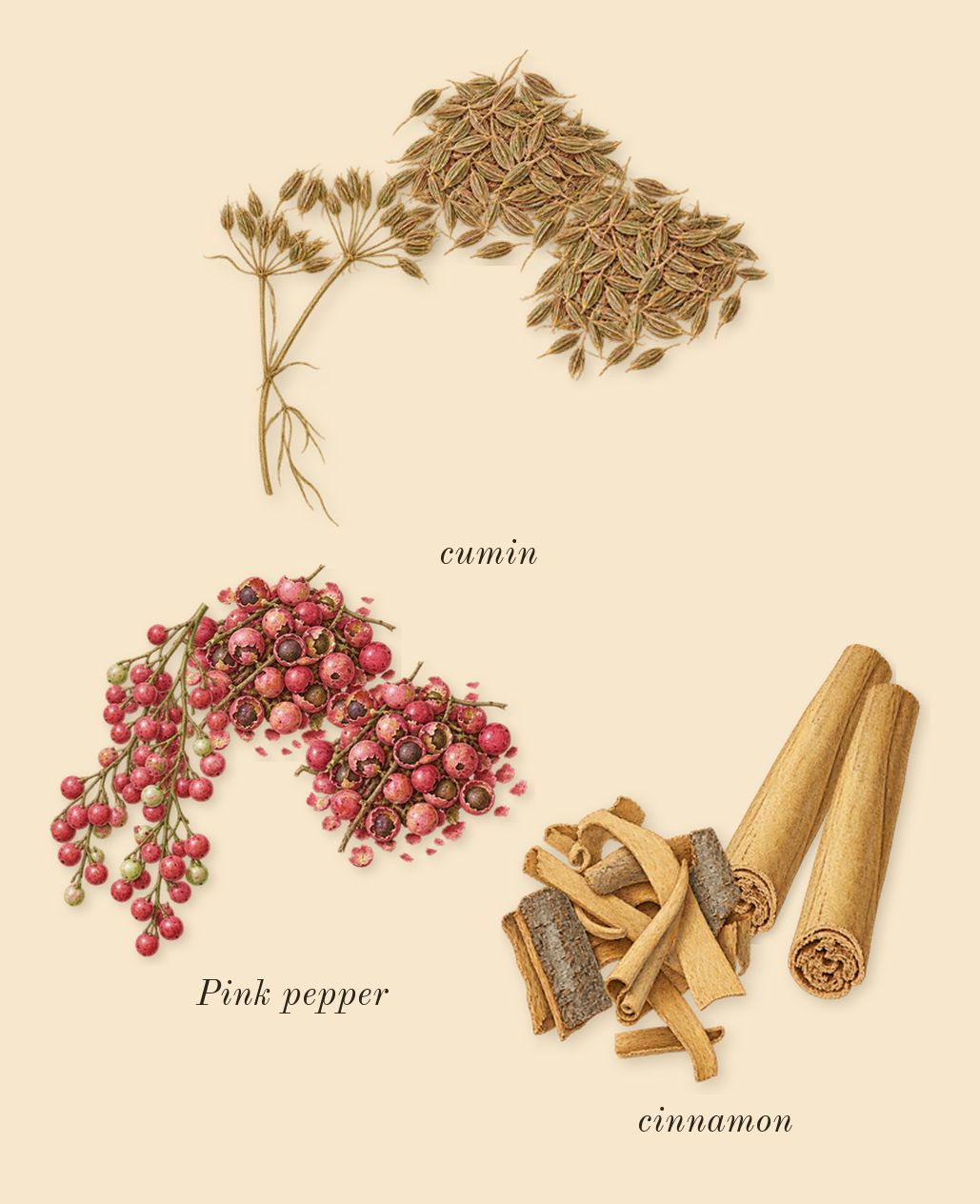Epic 56 Woman, top notes: cumin, Pink pepper, cinnamon