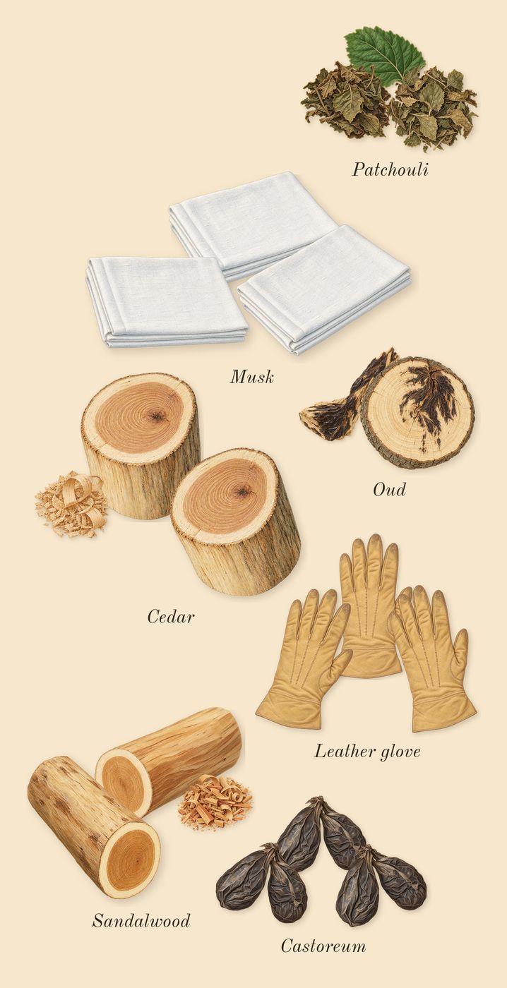 Epic Man, dry-down: Oud, Sandalwood, Patchouli, Leather glove, Cedar, Musk, Castoreum