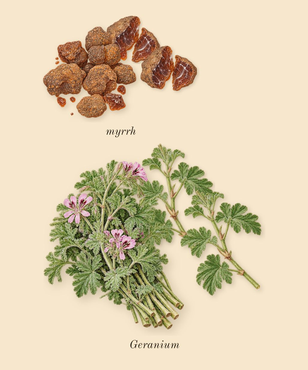 Epic Man, heart: Geranium, myrrh