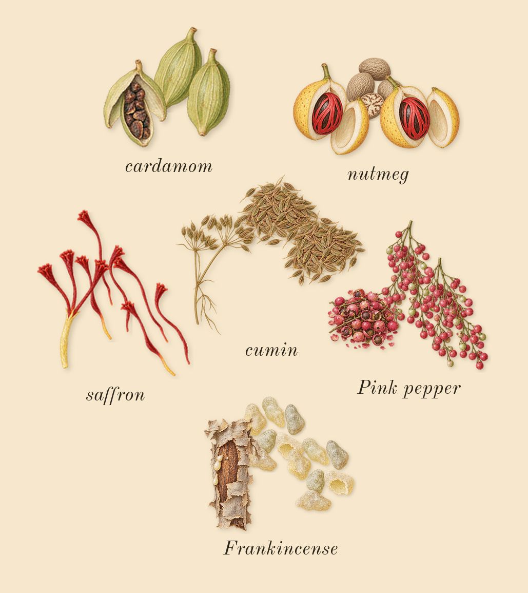 Epic Man, top notes: Pink pepper, Frankincense, cumin, cardamom, saffron, nutmeg