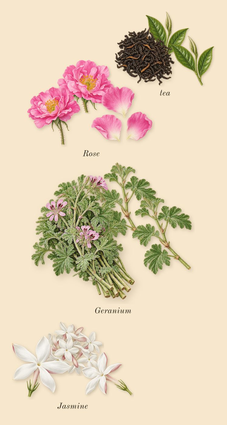 Epic Woman, heart: Rose, Geranium, Jasmine, tea