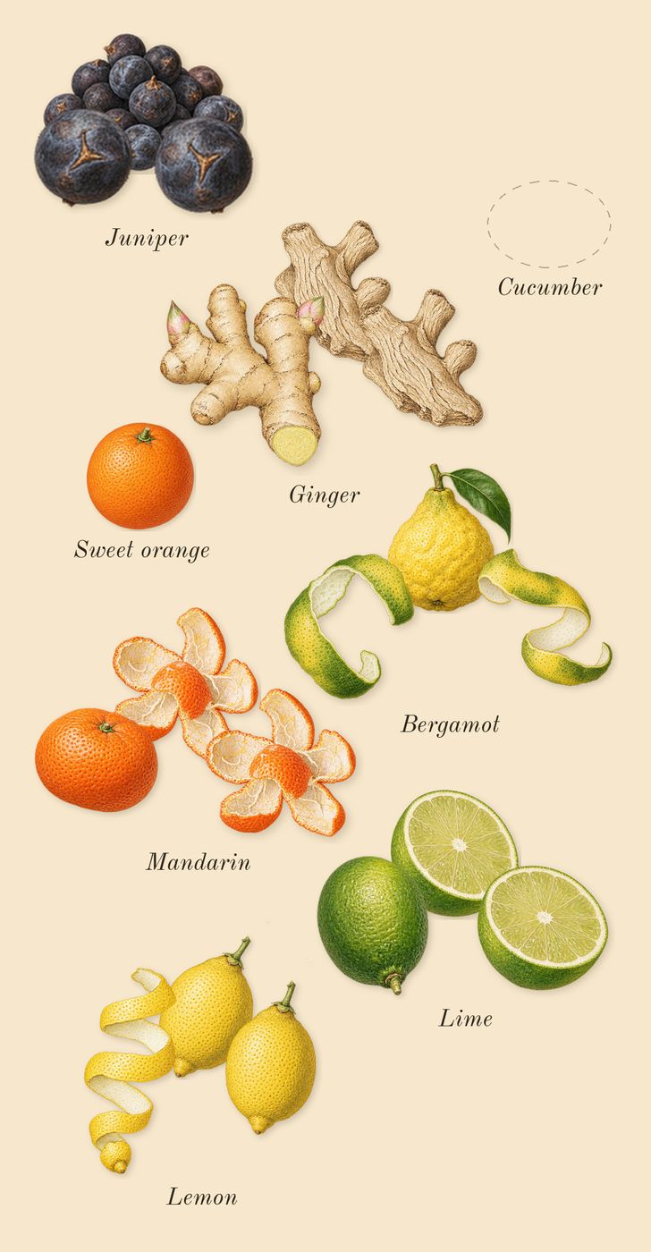 Cologne One, top notes: Juniper, Lemon, Lime, Mandarin, Bergamot, Ginger, Cucumber, Sweet orange