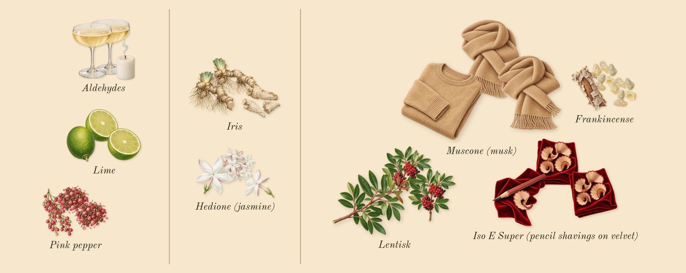 Escentric 01’s scent picture, a draft: lime, pink pepper, aldehydes, iris, hedione (jasmine), iso e super (pencil shavings on velvet) drawn so far; dashed outlines where nothing is drawn yet