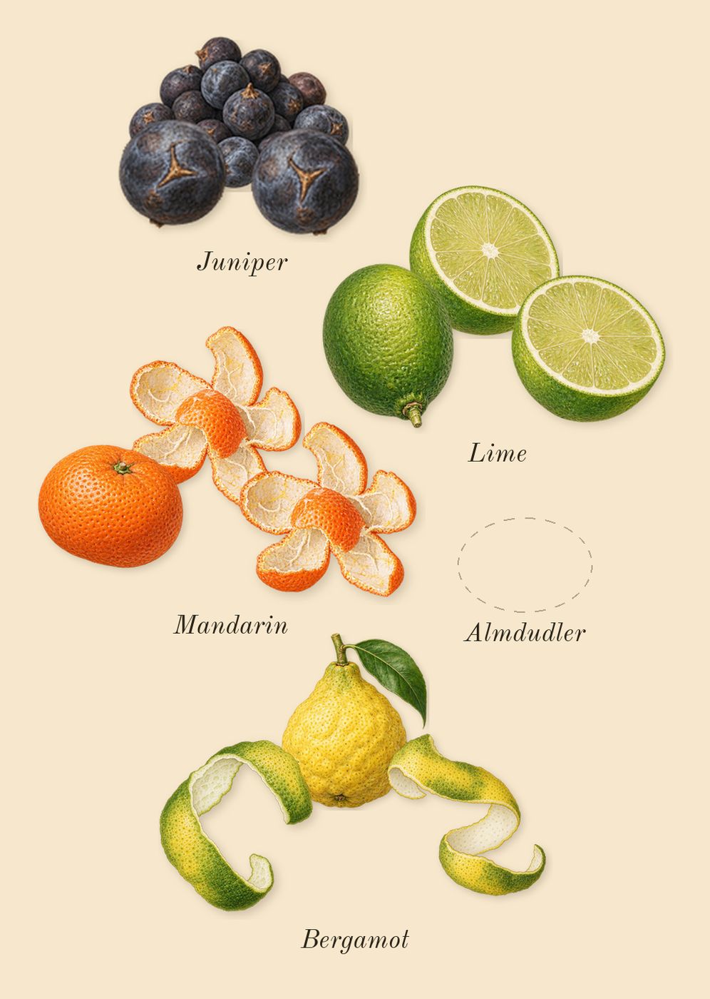 Escentric 02, top notes: Almdudler, Juniper, Mandarin, Lime, Bergamot