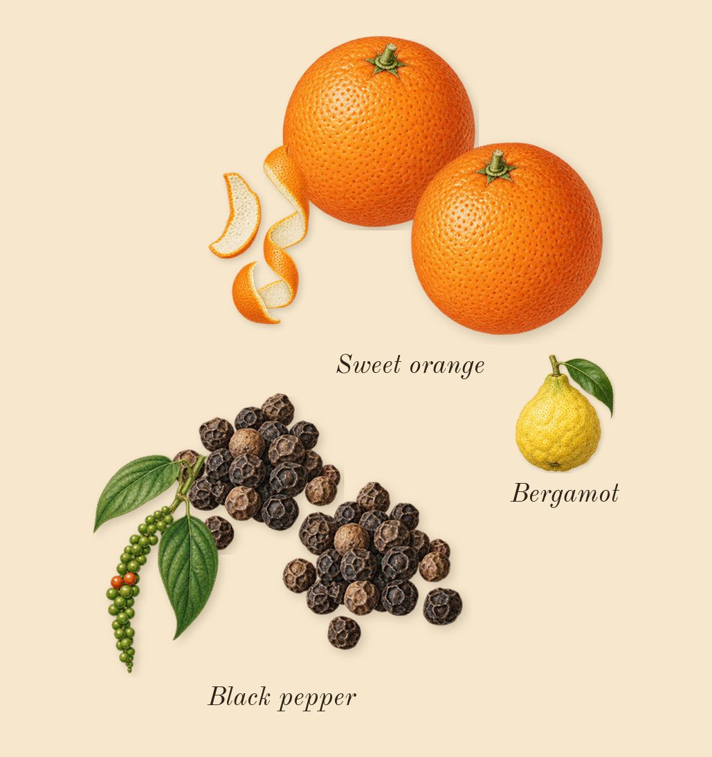 Molecule 01 + Champaca, top notes: Black pepper, Sweet orange, Bergamot