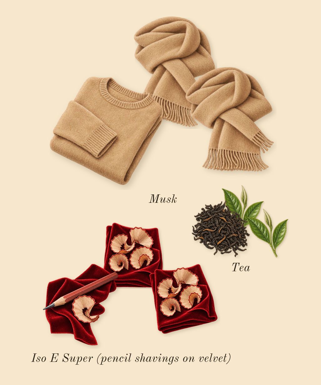 Molecule 01 + Clary Sage, dry-down: Iso E Super (pencil shavings on velvet), Musk, Tea