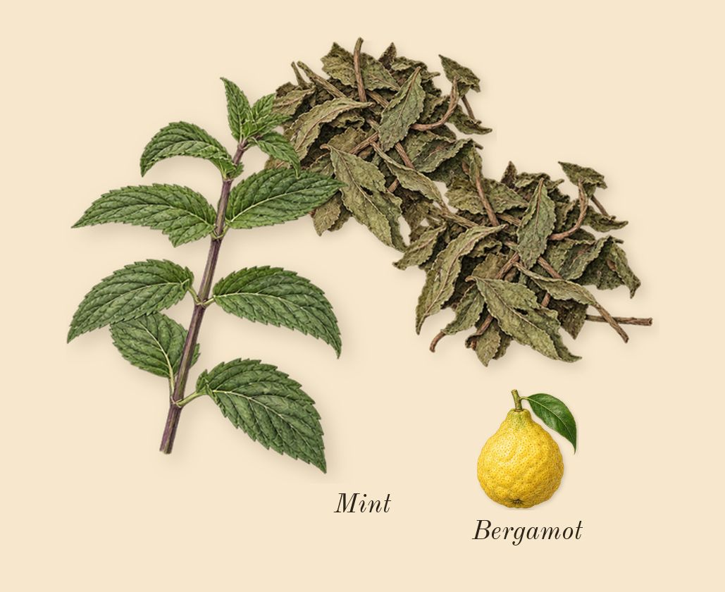 Molecule 01 + Clary Sage, top notes: Mint, Bergamot