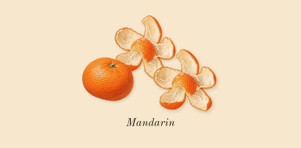 Molecule 01 + Mandarin, top notes: Mandarin