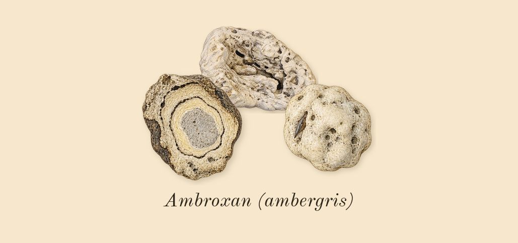 Molecule 02, dry-down: Ambroxan (ambergris)