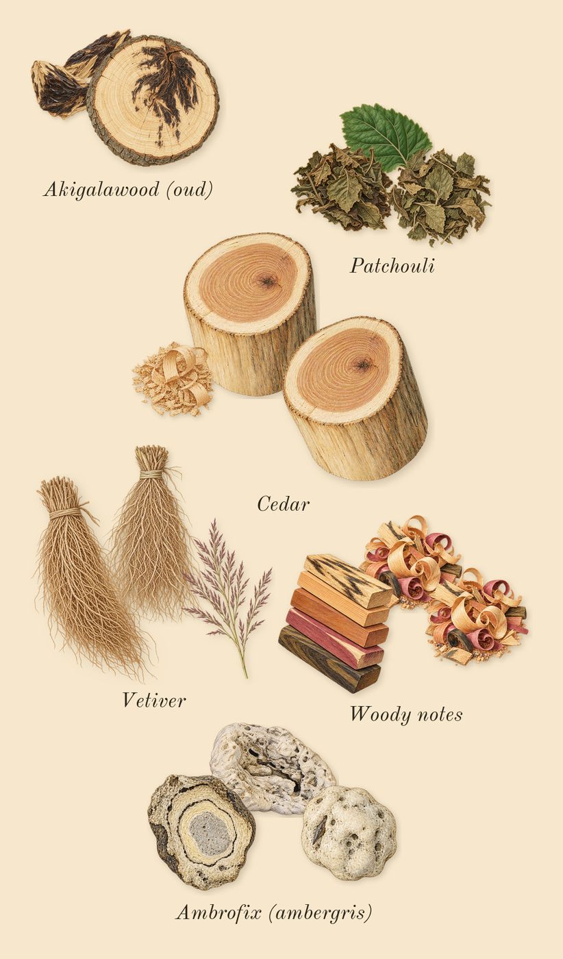 Bois Impérial, dry-down: Vetiver, Woody notes, Akigalawood (oud), Patchouli, Ambrofix (ambergris), Cedar