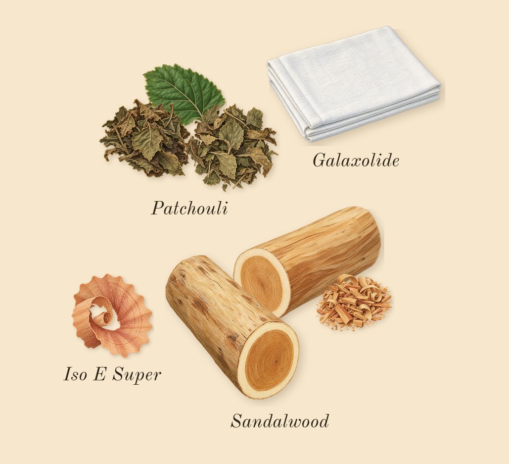 Pleasures, dry-down: Sandalwood, Patchouli, Galaxolide, Iso E Super
