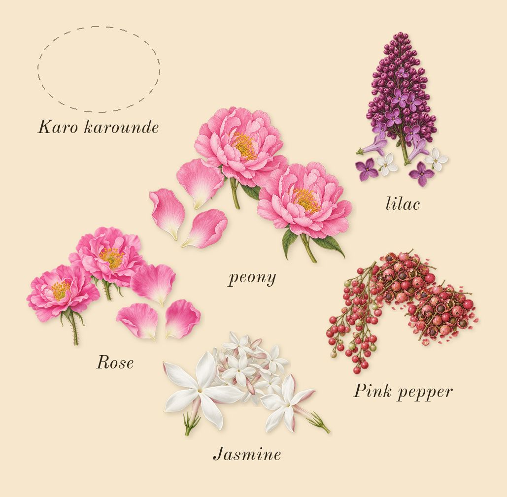 Pleasures, heart: lilac, peony, Karo karounde, Pink pepper, Rose, Jasmine
