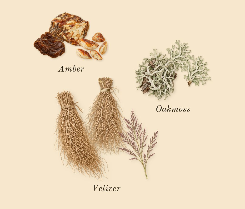 White Linen, dry-down: Vetiver, Oakmoss, Amber