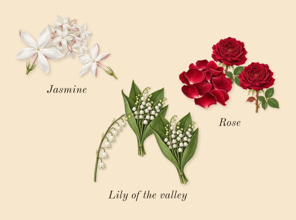 White Linen, top notes: Rose, Jasmine, Lily of the valley