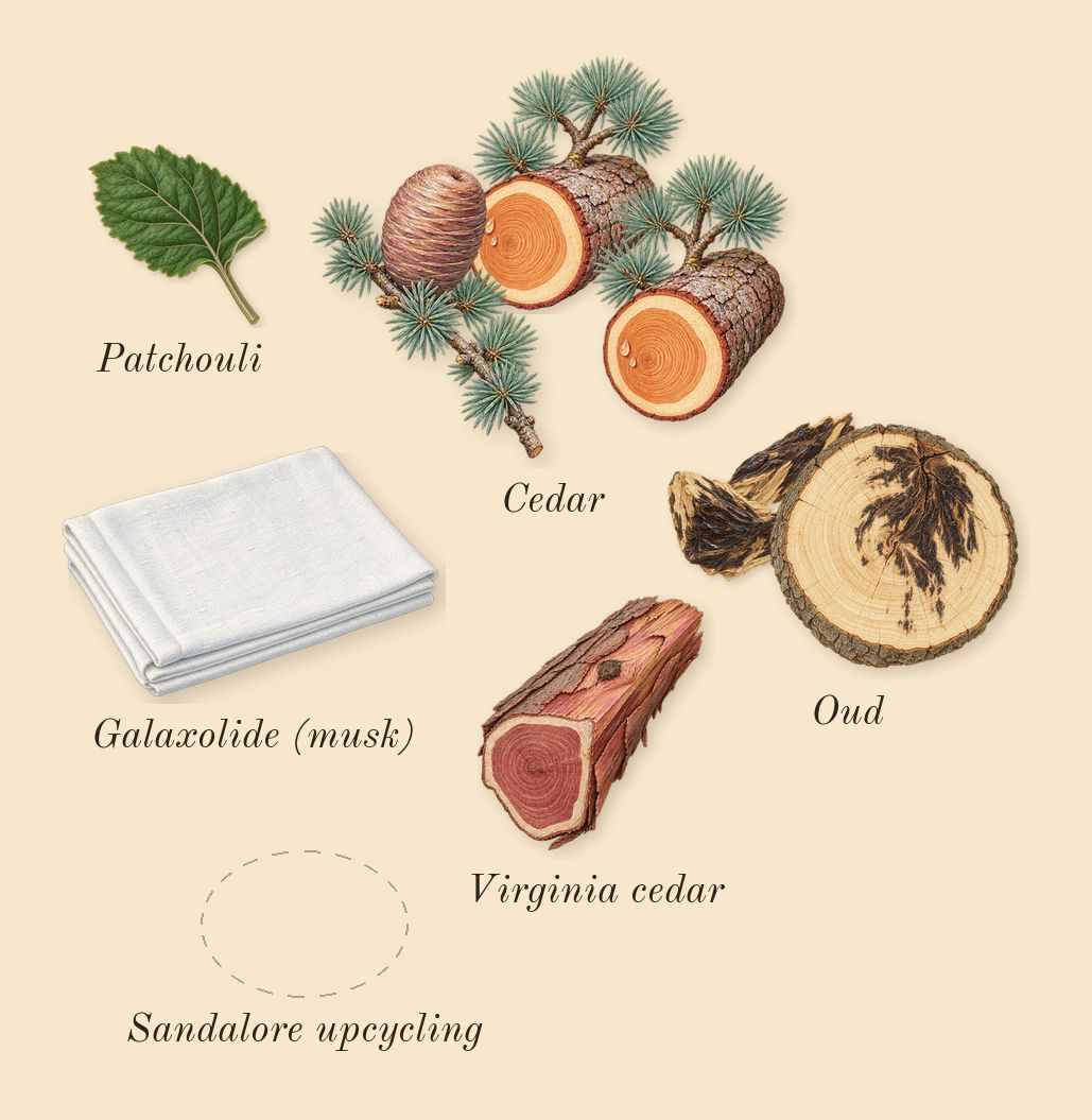 I Am Trash, dry-down: Cedar, Sandalore upcycling, Oud, Virginia cedar, Patchouli, Galaxolide (musk)