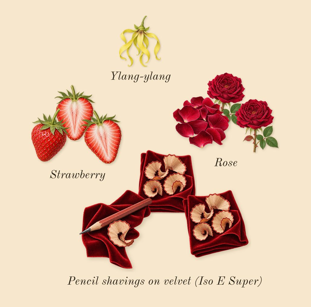 I Am Trash, heart: Rose, Pencil shavings on velvet (Iso E Super), Strawberry, Ylang-ylang