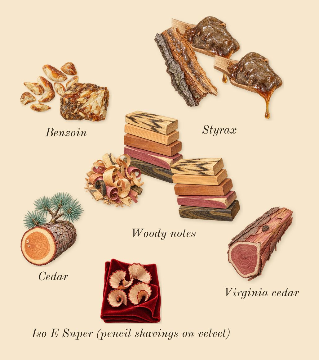 Let's Pretend, dry-down: Woody notes, Styrax, Benzoin, Virginia cedar, Cedar, Iso E Super (pencil shavings on velvet)