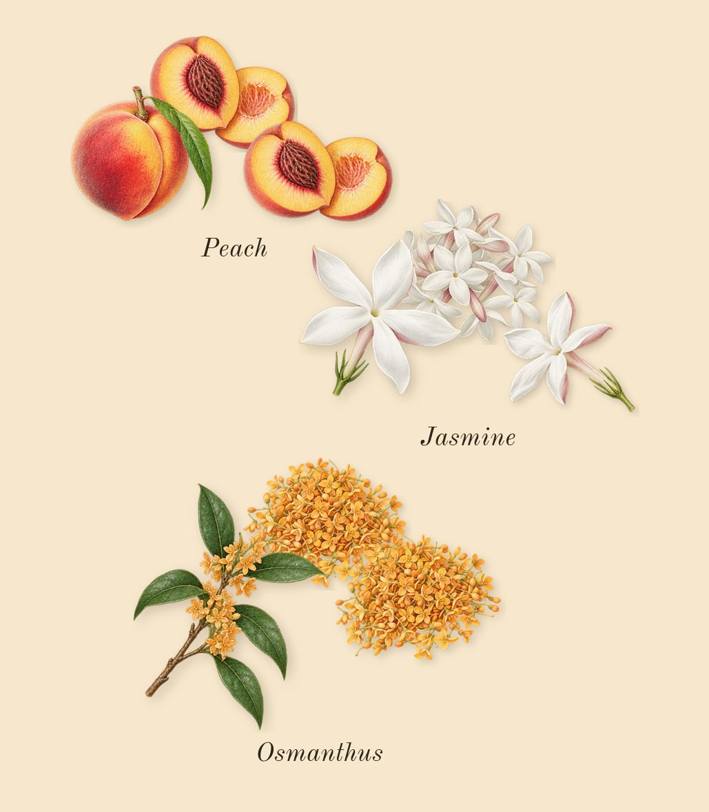 Let's Pretend, heart: Peach, Osmanthus, Jasmine