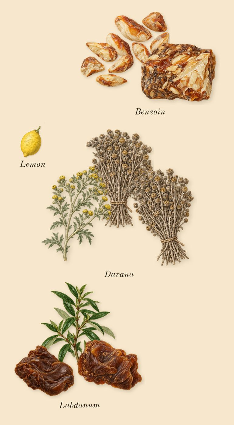 Story of Your Life, top notes: Labdanum, Davana, Benzoin, Lemon