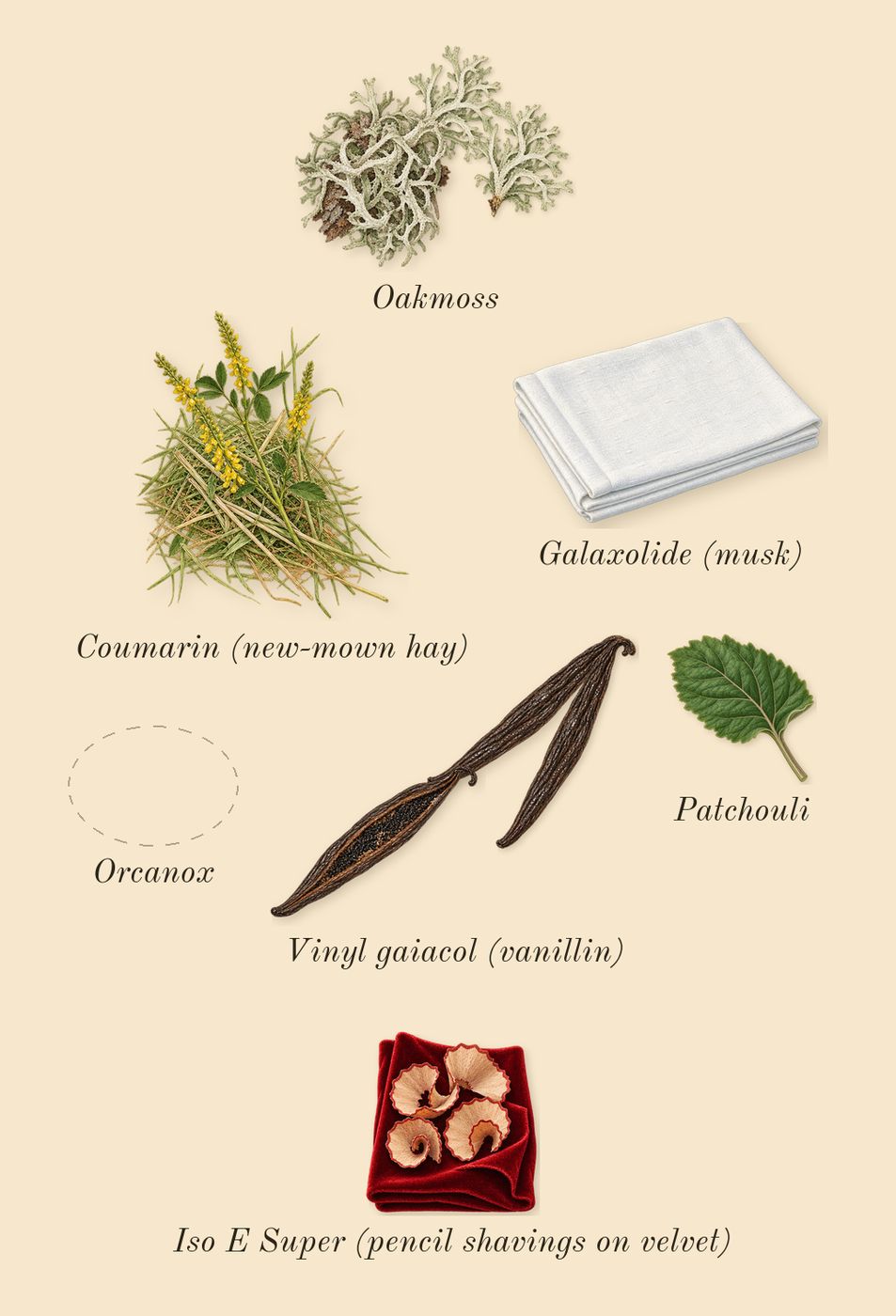The Ghost in the Shell, dry-down: Oakmoss, Vinyl gaiacol (vanillin), Orcanox, Patchouli, Galaxolide (musk), Iso E Super (pencil shavings on velvet), Coumarin (new-mown hay)