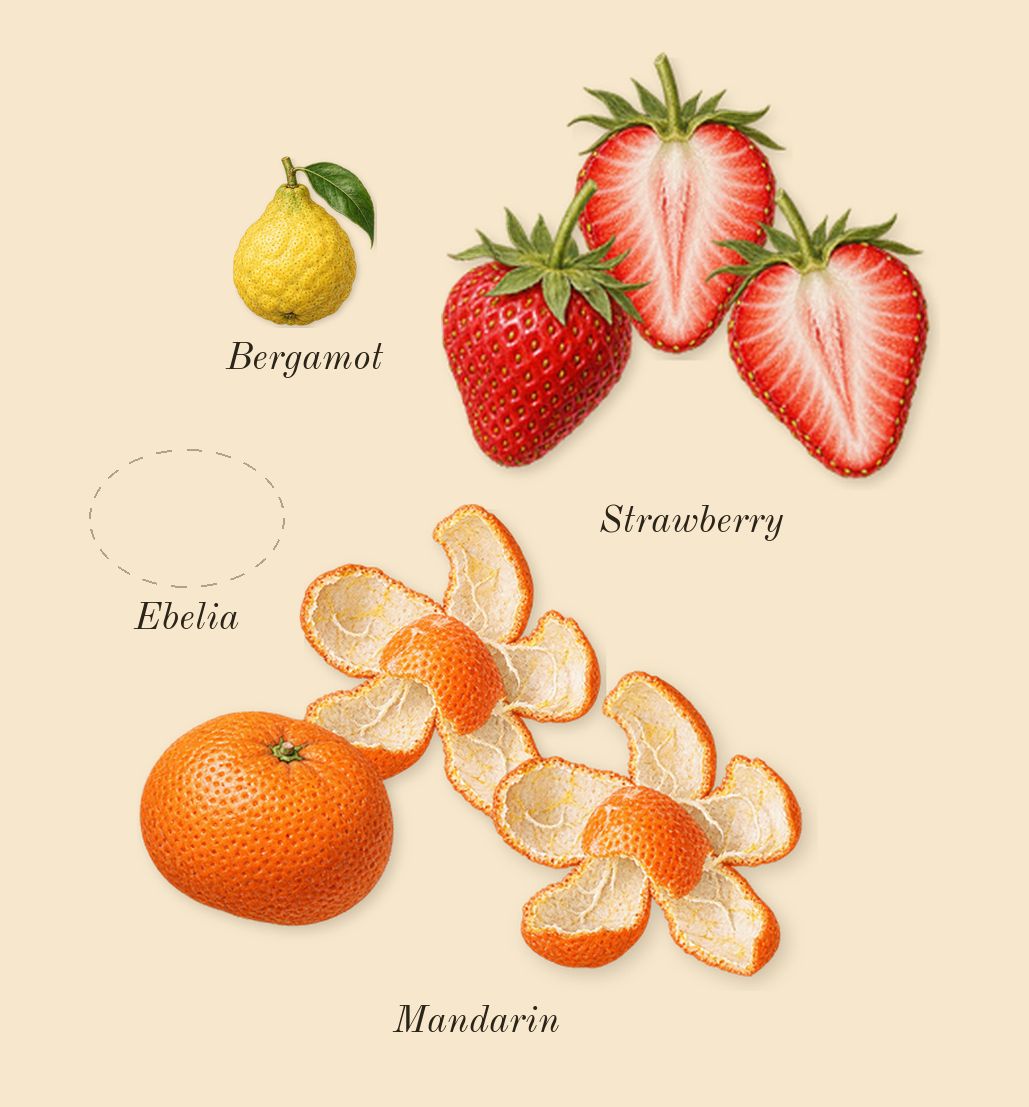Uruk Chronicles, top notes: Strawberry, Ebelia, Mandarin, Bergamot