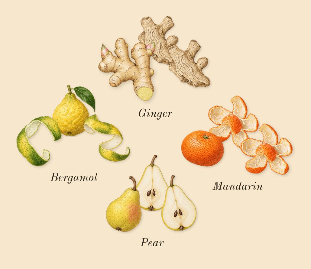 Blue Talisman, top notes: Pear, Bergamot, Ginger, Mandarin