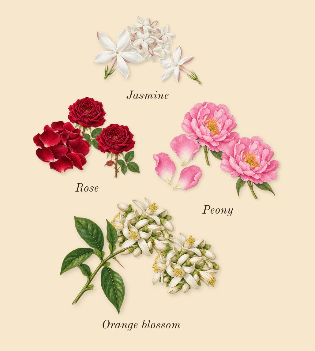 Fleur Narcotique, heart: Rose, Orange blossom, Jasmine, Peony