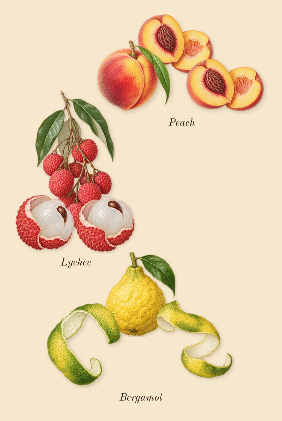 Fleur Narcotique, top notes: Bergamot, Lychee, Peach