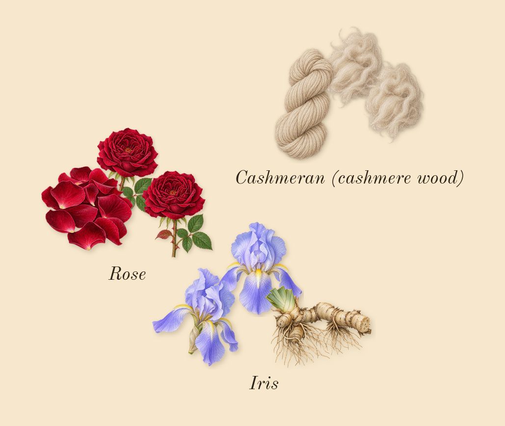 Santal Calling, heart: Iris, Rose, Cashmeran (cashmere wood)