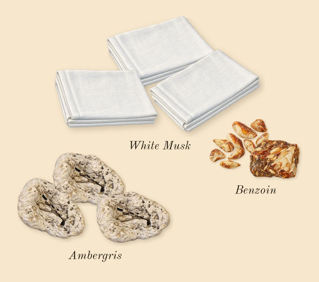 Existence, dry-down: Ambergris, White Musk, Benzoin