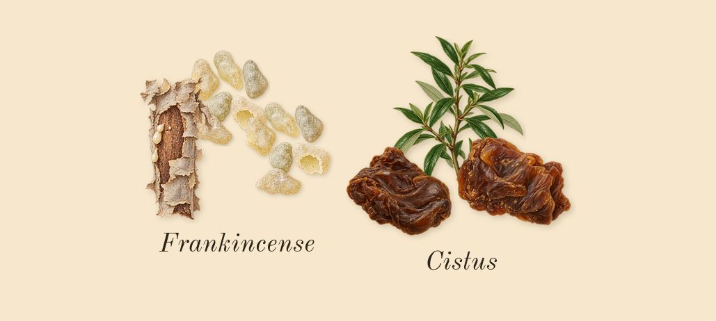 Existence, heart: Frankincense, Cistus