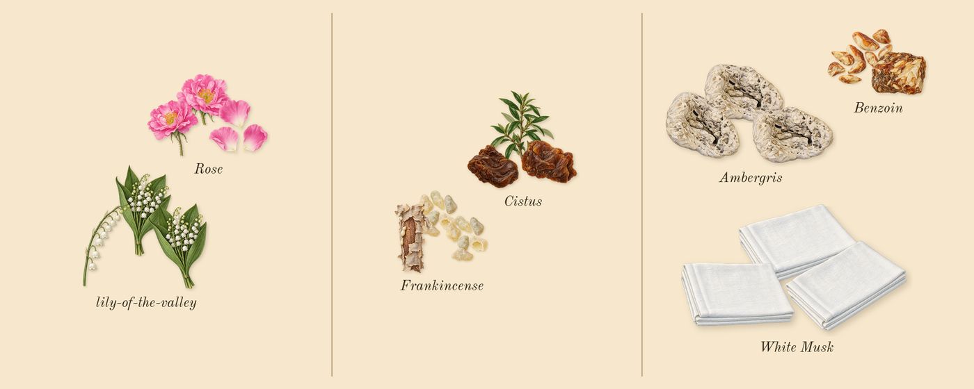Existence’s scent picture, a draft: lily-of-the-valley, rose, frankincense, cistus, ambergris, white musk drawn so far; dashed outlines where nothing is drawn yet