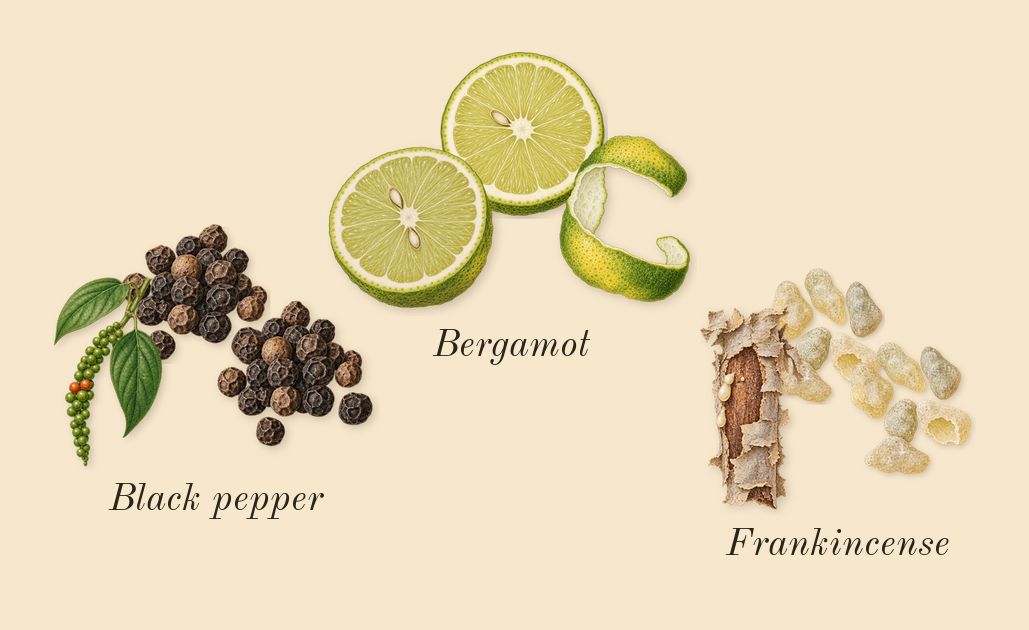 Fate Woman, top notes: Bergamot, Black pepper, Frankincense