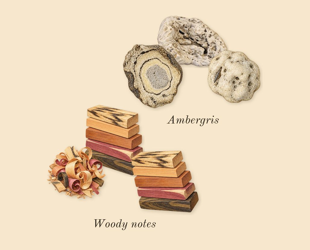 Barakkat Rouge 540, dry-down: Ambergris, Woody notes