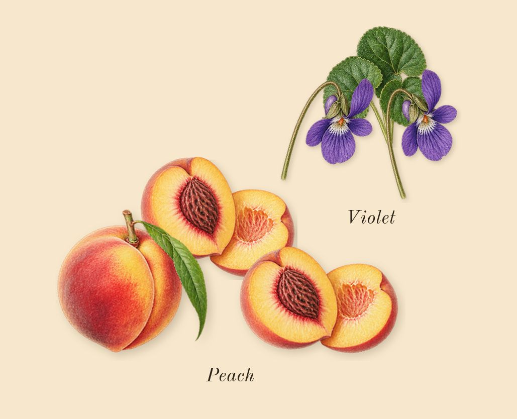 Acne Studios par Frédéric Malle, top notes: Peach, Violet
