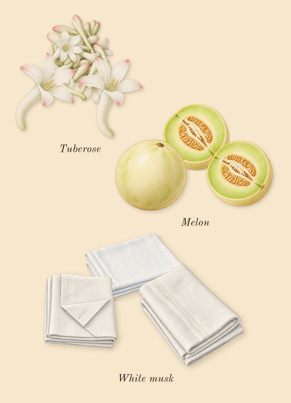 Carnal Flower, heart: Tuberose, Melon, White musk